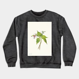 Painted trillium - Botanical Illustration Crewneck Sweatshirt